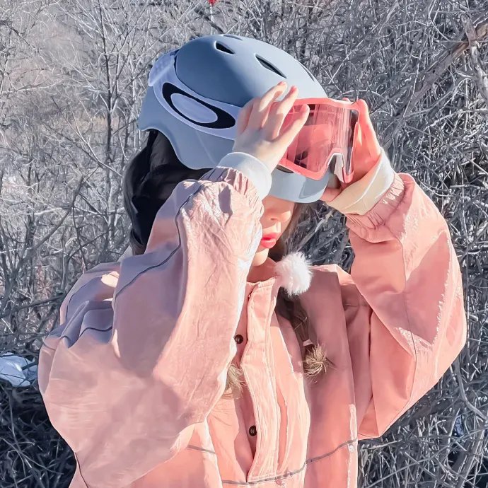 悍妻理论