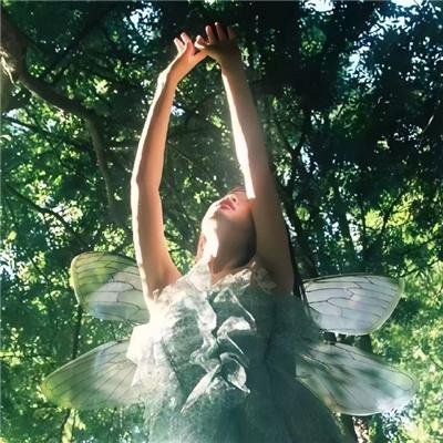 今夕何夕复见君